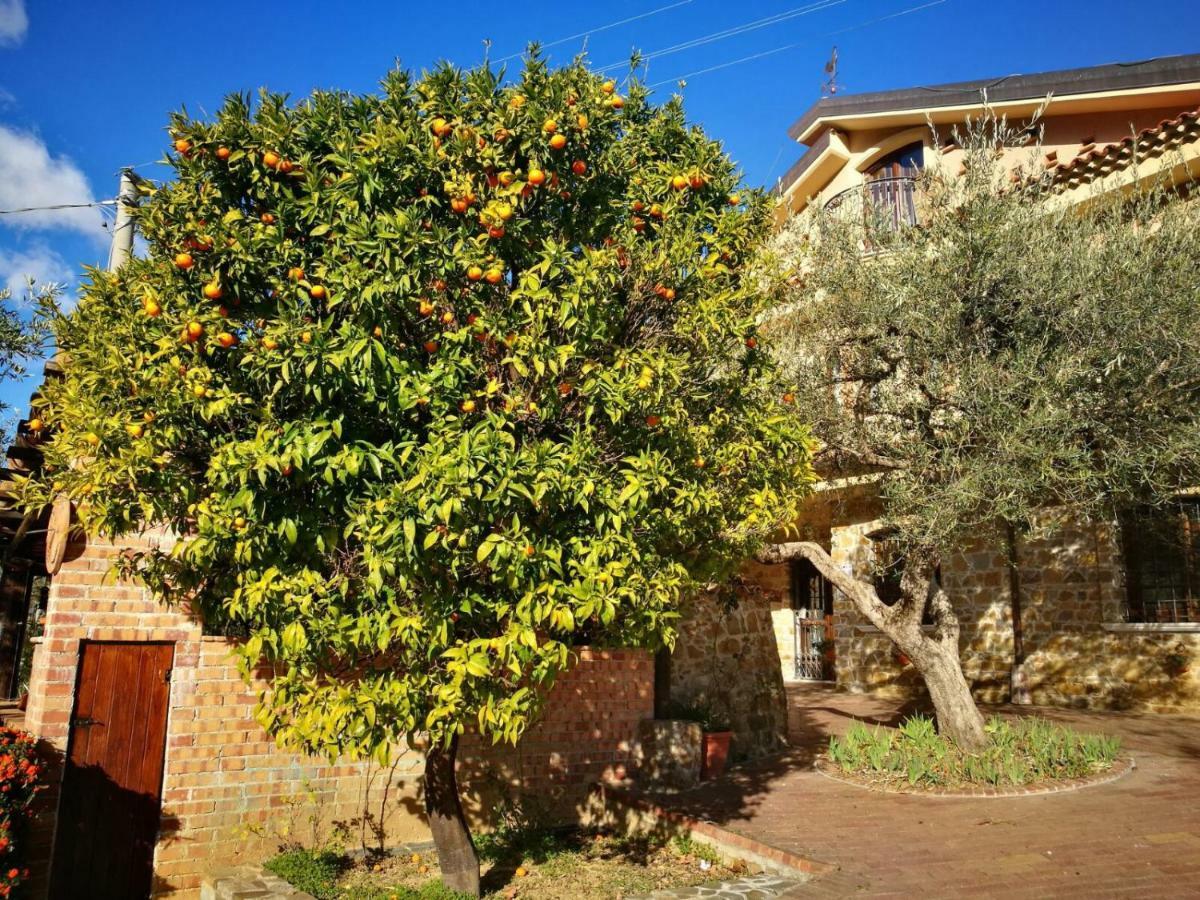 Hotel La Ginestra à Castel San Lorenzo Extérieur photo